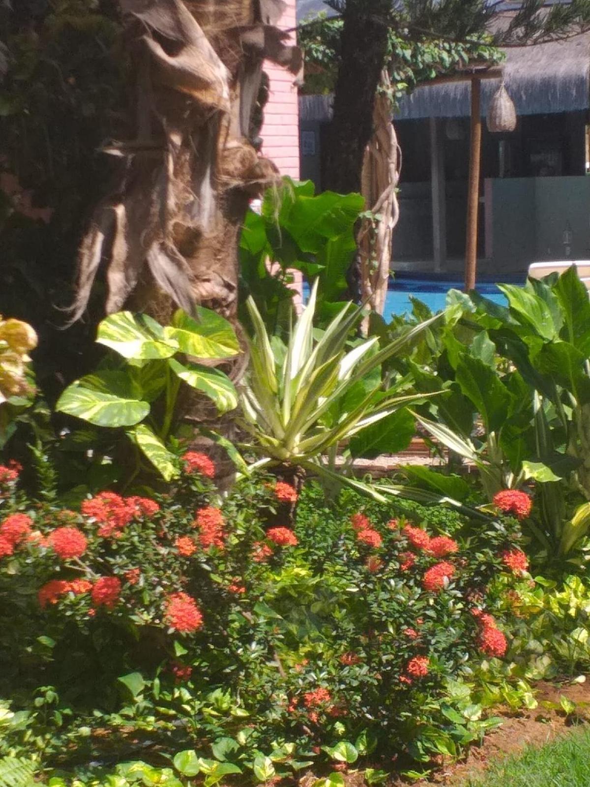 Chale Tulipa - Centro Praia Da Pipa Praia de Pipa 외부 사진